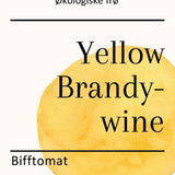 Yellow Brandywine
