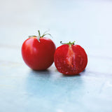 Gardener's Delight