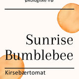 Sunrise Bumblebee