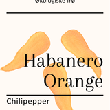 Habanero Orange, økologiske chilifrø