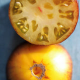 Ananas Bleue Lignée, økologiske tomatfrø