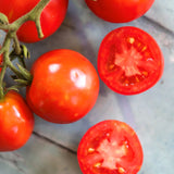Bonny Best, økologiske tomatfrø