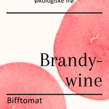 Brandywine, økologiske tomatfrø