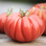 Costoluto Genovese