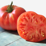 Dester, økologiske tomatfrø