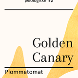 Golden Canary, økologiske tomatfrø