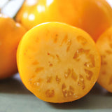 Golden King of Siberia, økologiske tomatfrø