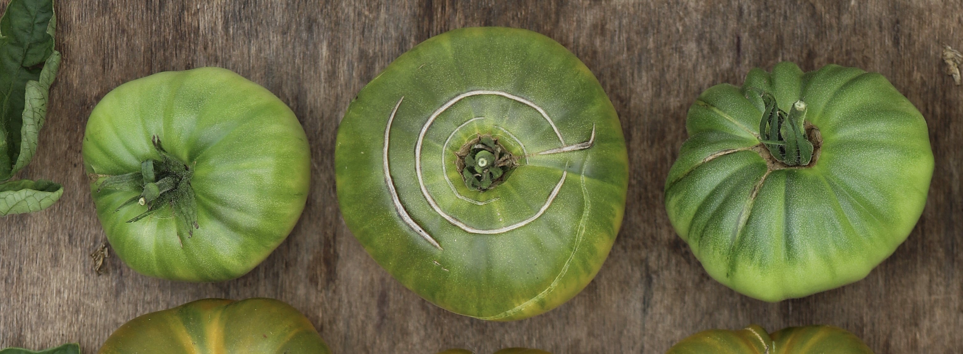 Green Giant