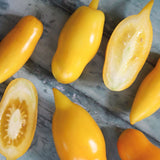 Golden Canary, økologiske tomatfrø