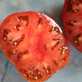 Black Brandywine, økologiske tomatfrø