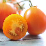 Isis, økologiske tomatfrø