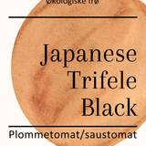Japanese Trifele Black, økologiske tomatfrø