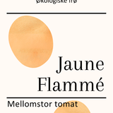 Jaune Flammé, økologiske tomatfrø