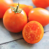 Jaune Flammé, økologiske tomatfrø