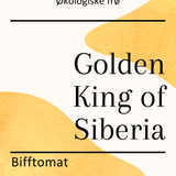 Golden King of Siberia, økologiske tomatfrø