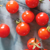 Matt's Wild Cherry, økologiske tomatfrø