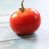 Nepal, økologiske tomatfrø