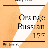 Orange Russian 177, økologiske tomatfrø