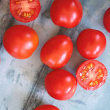 Pomodori d'Ischia, økologiske tomatfrø