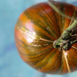 Purple Bumblebee, økologiske tomatfrø