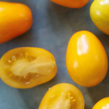 Sigurds Gule, økologiske tomatfrø