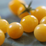 Sun Baby, økologiske tomatfrø