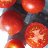Tony's Tbilisian Tiger, økologiske tomatfrø