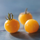 White Currant, økologiske tomatfrø