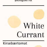 White Currant, økologiske tomatfrø