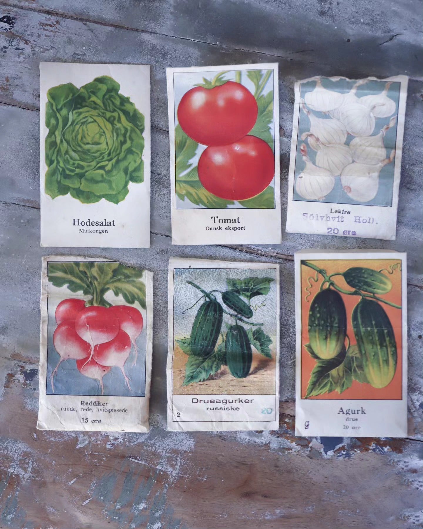 F1, hybrid, åpenpollinert? Hva betyr det?