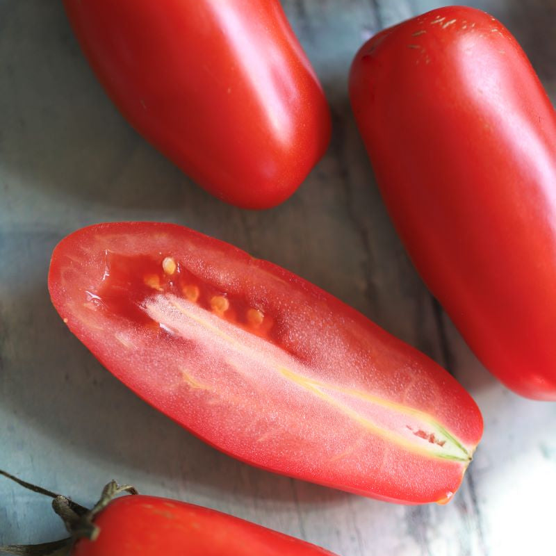 Plommetomater og tomater til saus