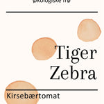 Tiger Zebra