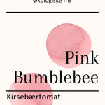 Pink Bumblebee