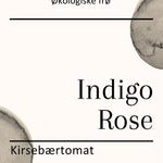 Indigo Rose