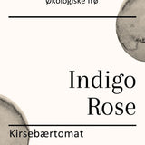Indigo Rose