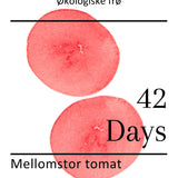 42 days, økologiske tomatfrø
