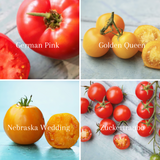Frøpakke: 4 kulturarvsorter (Heirlooms), økologiske tomatfrø