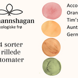 Frøpakke: 4 rillede tomater, økologiske tomatfrø