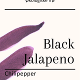 Black Jalapeno, økologiske chilifrø