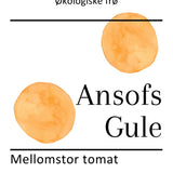 Ansofs Gule/Tante Cis, økologiske tomatfrø