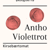 Antho Violettrot, økologiske tomatfrø