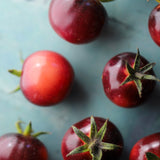 Antho Violettrot, økologiske tomatfrø