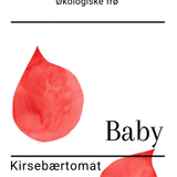 Baby, økologiske tomatfrø