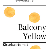 Balcony Yellow, økologiske tomatfrø