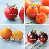 Frøpakke: 4 mellomstore tomater, økologiske tomatfrø