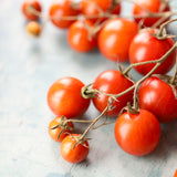 Black Cherry Zebra, økologiske tomatfrø