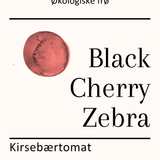 Black Cherry Zebra, økologiske tomatfrø