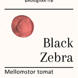 Black Zebra, økologiske tomatfrø