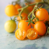 Blondköpfchen, økologiske tomatfrø