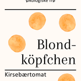 Blondköpfchen, økologiske tomatfrø